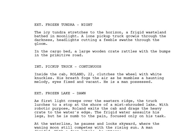 be your professional screenwriter and script consultant